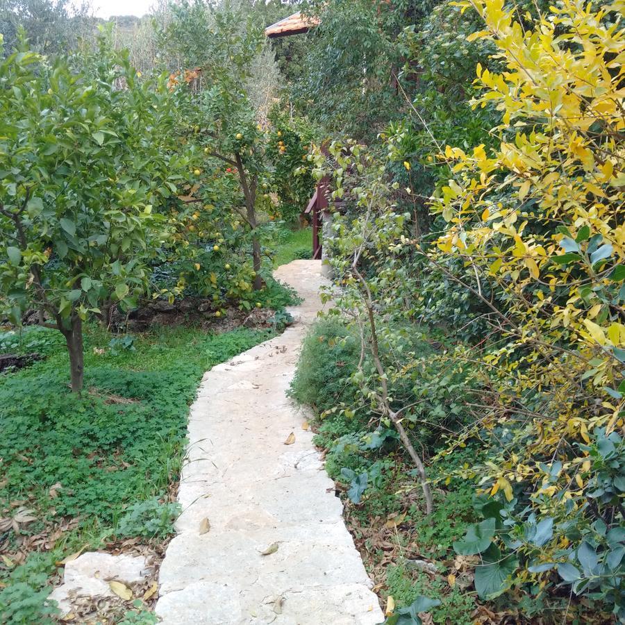 Amirim Atmosphere Exterior photo